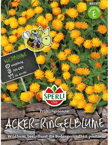 Sperli-Samen Acker-Ringelblumen Frühlingssonne