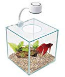 Marina Aquarium Betta Kit Cubus en Verre Éclairage LED 3,4 L