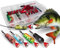 Angel-Berger Wild Devil Baits Blinkersortiment in Box Blinker Kunstköder Set Löffelblinker Spoon (Barsch, 16g)