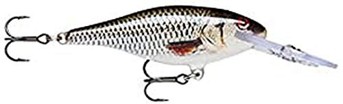 Rapala - Shad Rap Angelköder - Angelzubehör mit Balsa-Konstruktion - Süßwasser Spinnköder - Lauftiefe 2.4-4.5m - Fischköder 9cm, 15g - Hergestellt in Estland - Live Roach