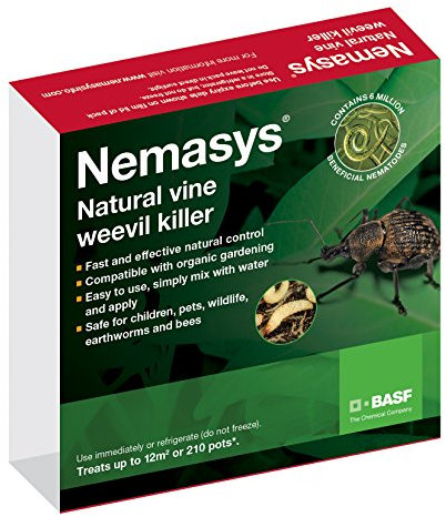 Nemasys vine weevil killer standard pack