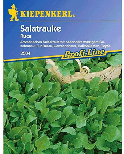 Kiepenkerl Rucola/Salatrauke, 1 Tüte Samen