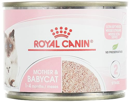 Royal Canin Feline Babycat Instinctive Lot de 6 boîtes de nourriture pour chat 195 g