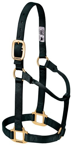 Weaver Leather Original - Cavezza non regolabile in nylon, per pony o puledro, nero