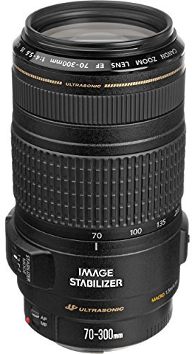 Canon EF 70-300mm f/4.0-5.6 IS USM
