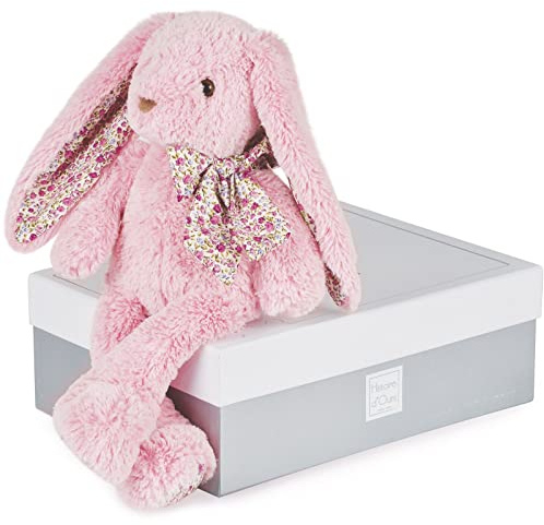 Histoire d'Ours - Peluche Lapin Rose - Copains Calins - Boîte Cadeau - Taille 25 Cm - Douce et Mignonne - Doudou Idée Cadeau de Naissance, Noël ou Anniversaire pour Bébé ou Enfants - HO2434