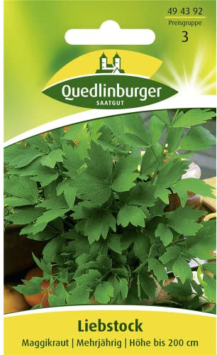 Liebstock, Maggikraut, 1 Tüte Samen