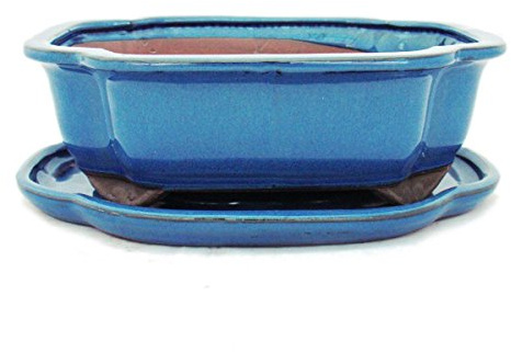 Bonsai pot avec soucoupes-bleu-taille 4/haitang ovale modèle i4 l - 26 cm 20,5 cm-hauteur : 8,5 cm