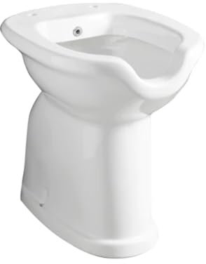 Sanitari Bagno Ceramica VASO / BIDET DISABILI COMPLETO DI EROGATORE Muro