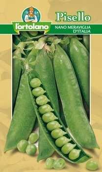 Pisello nano / MERAVIGLIA D'ITALIA gr.500