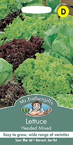 Mr Fothergill's 21700 Vegetable Seeds, Lettuce Headed Mixed