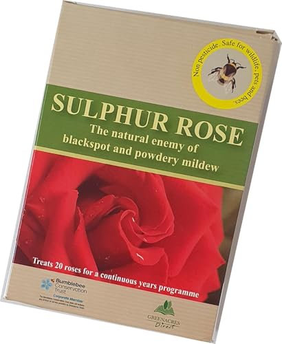 Sulphur Rose 250grm pack