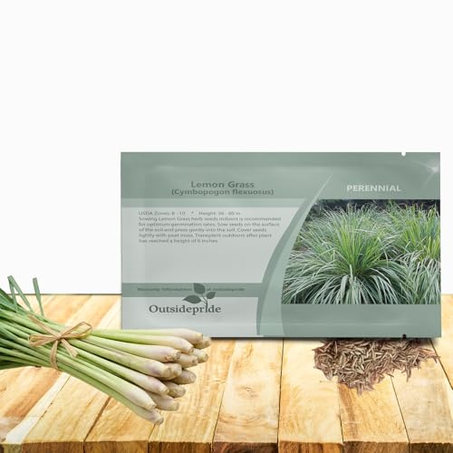Outsidepride Lemon Grass Seeds for Planting - 2000 Perennial Seeds, Mosquito Repellent, Deer Proof, Citronella Grass for Culinary and Ornamental Use, Blue-Green Foliage, Lemon Grass Live Plant