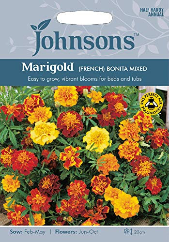 Johnsons Seeds - Pictorial Pack - Flower - Marigold (French) Bonita Mixed - 150 Seeds