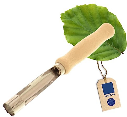 Hofmeister Holzwaren® Levatorsoli per Mele, Ideale per Mele, Pere e Pomacee, Parte Metallica in Acciaio Inossidabile, Pratico Levatorsoli per Mele con Manico in Legno di Faggio, 16,5x2x2 cm