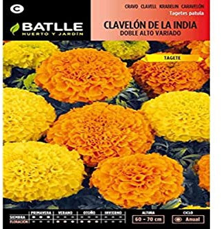Semillas Batlle Clavelon INDIA doble alt variado