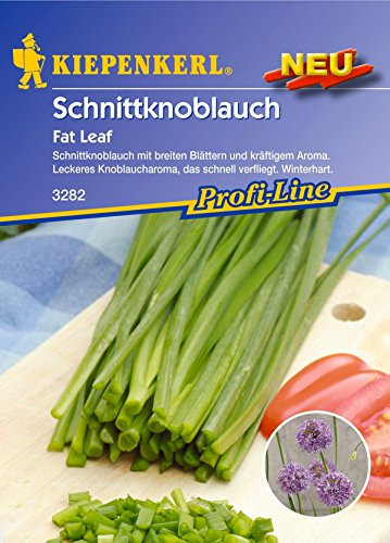 Kiepenkerl, Schnittknoblauch Fat Leaf