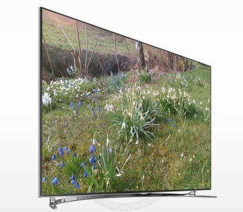 Samsung UE65F8000 165cm (65 Zoll) 3D LED-Backlight-Fernseher (Full HD, 1000Hz CMR, DVB-T/C/S2, CI+, Smart TV, HbbTV, Sprachsteuerung) schwarz