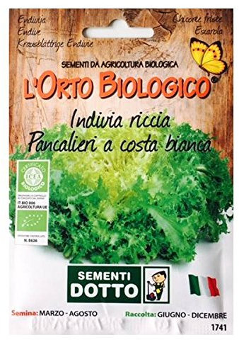 Idroponica Semi Biologici di Indivia Riccia Pancalieri