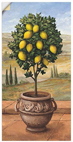 ARTland Wanddeko Wandtattoo selbstklebende Vinylfolie 50x100 cm Toskana Botanik Baum Obst Zitrone Mediterran Malerei T4MN