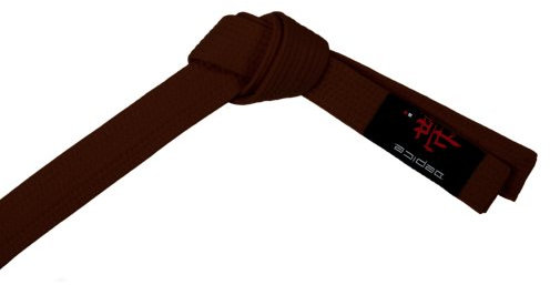 DEPICE Budogürtel braun 260 cm/Kampfsportgürtel Karategürtel Judogürtel