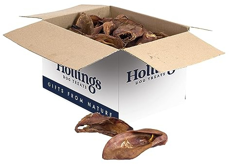 Hollings Cerdos OREJAS
