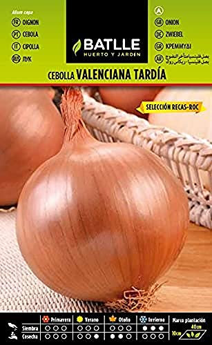 Semillas Batlle Cebolla Valen. tardía Recas-ROC