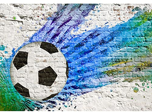 Runa Art Papel tapiz fotográfico 396 x 280 cm muro de piedra de fútbol | Lana Decoración De Pared Sala Cuarto | Fabricación alemana | Verde azul 9021012a