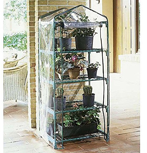 Verdemax 2494 70 x 50 x 158 cm Serre 4 étagères Azalée