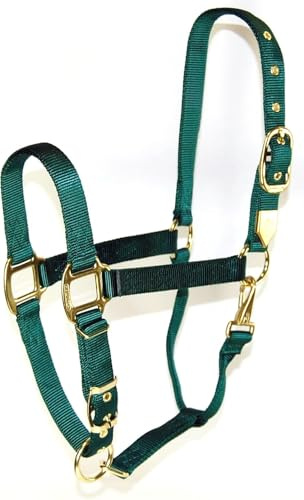 Hamilton Deluxe Horse Halter, 1 Triple Ply Nylon, Adjustable Chin Strap, Easy On/Off Throat Snap, Average Horse, Arabian, or Yearling Draft, 800-1100 lbs, Dark Green