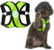 Gooby Choke Free Comfort X Step-In Hundegeschirr, Größe XL, Grün