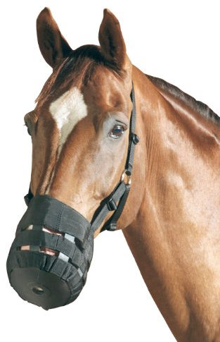 Maulkorb und/oder Fressbremse, schwarz Cob