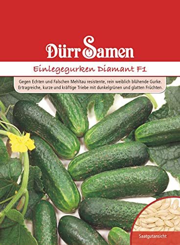 Dürr-Samen - Einlegegurken Diamant F1 Saatgut