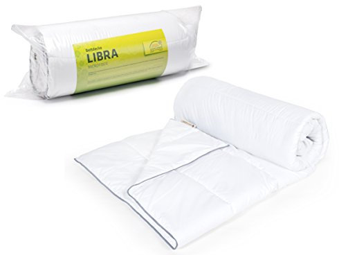 DecoKing Sommerdecke 200x220 cm Leichte Sommer Bettdecke Steppbettdecke antiallergisch für Allergiker 100% Mikrofaser 1200g Libra