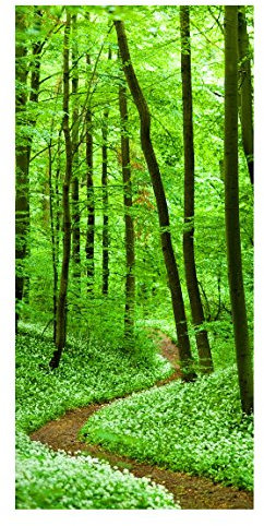 Magnettafel Romantischer Waldweg Memoboard Design Hoch Metall Magnet Pinnwand Motiv Wand Stahl Küche Büro, Größe HxB: 78cm x 37cm
