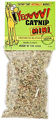 Rosewood Pet Products 1 sachet d'herbe à chat