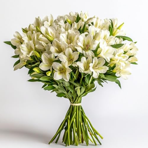 GlobalRose 60 Orange Alstroemeria Flowers – Responsibly Sourced Peruvian Lilies Flowers – Hand-Picked Flowers Fresh Bouquet for Graduation, Anniversary & Special Occasions (6 Bunches of 10 Stems)