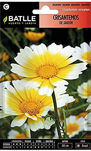 Semillas Batlle Crisantemos de JARDIN