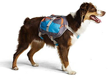 Cesar Millan Dog Backpack Large Blue
