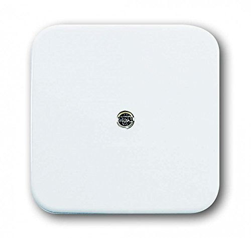 Busch-Jaeger BUSC Zentralscheibe 2536-214, bunt