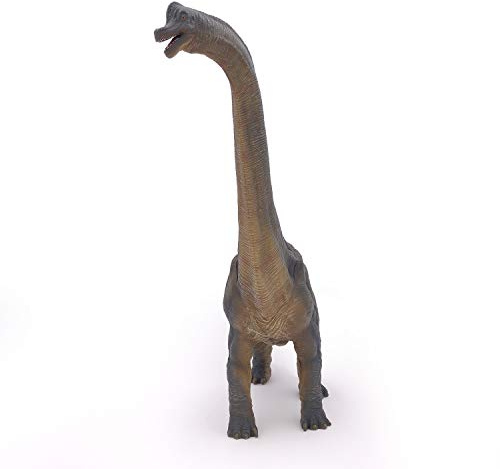 Figurine Brachiosaure Réaliste Collection Dinosaures Jouet Enfant 3 Ans | Développe l'imagination | 36 x 9 x 31 cm | peinte à la main | jeu éducatif sur la vie préhistorique | idée cadeau original