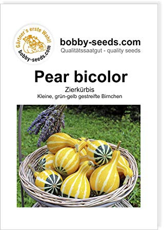 Pear Bicolor Zierkürbis von Bobby-Seeds, Portion