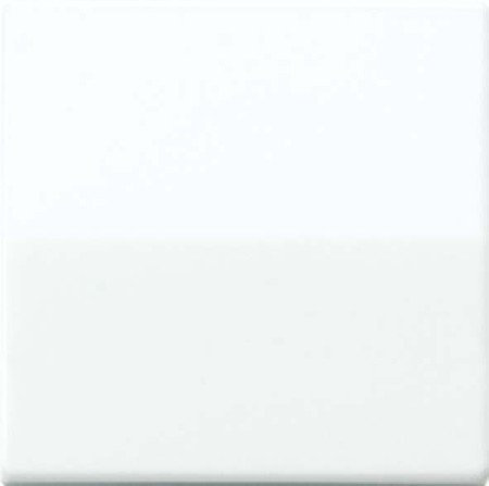 Jung AS1561.07WW Kurzhubtaste