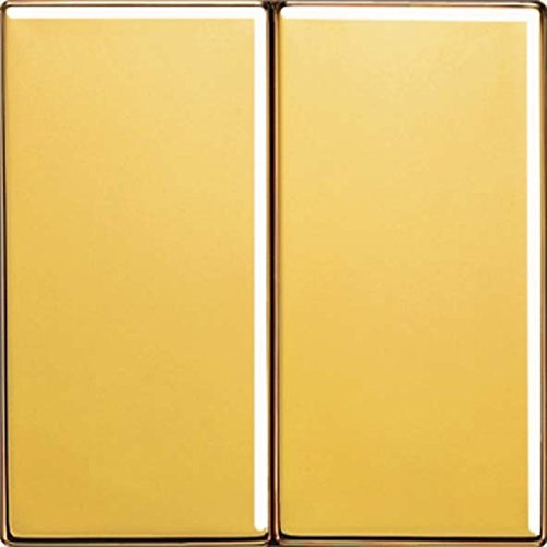 Jung GO2995 Wippe für Serienschalter