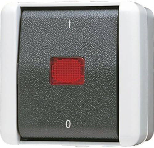 Jung AP-Schalter 802KOW 2polig, 250 V