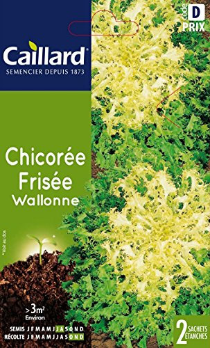 Caillard PFCC13005 Graines de Laitue Batavia Masaïda