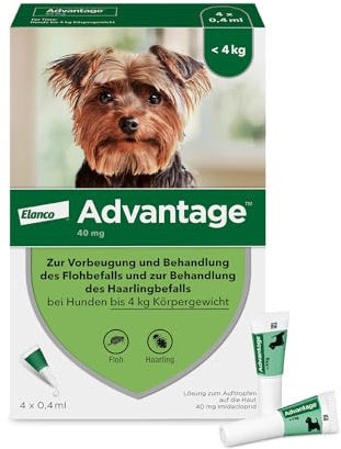 Elanco Advantage Spot-On 40 für sehr kleine Hunde bis 4 kg Körpergewicht, schnelle Bekämpfung von Flöhen und Schutz vor Flohbefall für bis zu 4 Wochen, 4 Pipetten mit 0,4 ml Lösung
