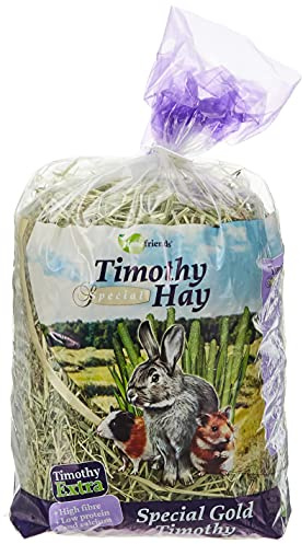 Homefriends Heno Timothy para Conejos, Enanos, Hamsters, Cobayas y Roedores, Comida para Conejos con Fibra para el Desgaste Dental del Roedor, 600 g (Paquete de 1)