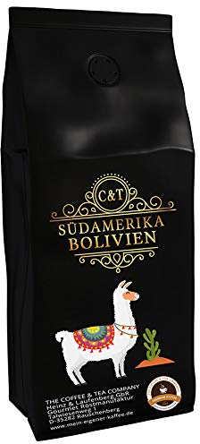 Especialidad de café de América del Sur - Bolivia, café del altiplano de cerca de los Andes (grano entero, 500 gramos)
