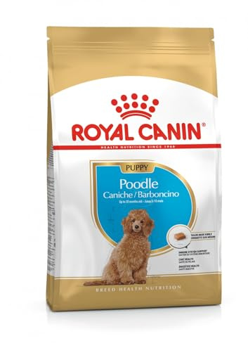 Royal Canin Poodle Puppy | 3 kg | Alimento completo per cuccioli di Barboncino | Fino a 10 mesi | Per supportare le difese naturali e la qualità del pelo | Con Omega-3 e antiossidanti